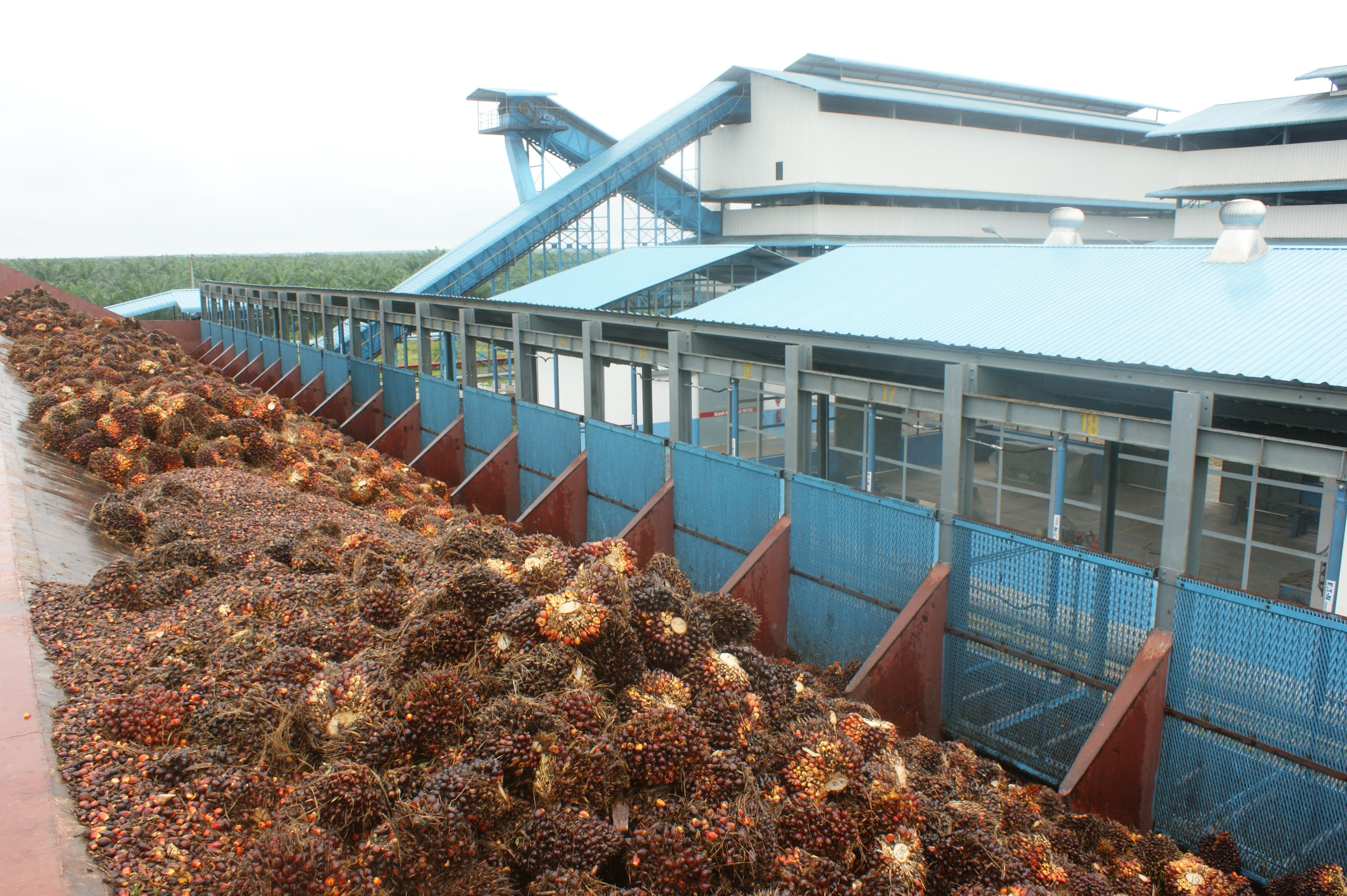 FFB Ramp DSC09200.JPG