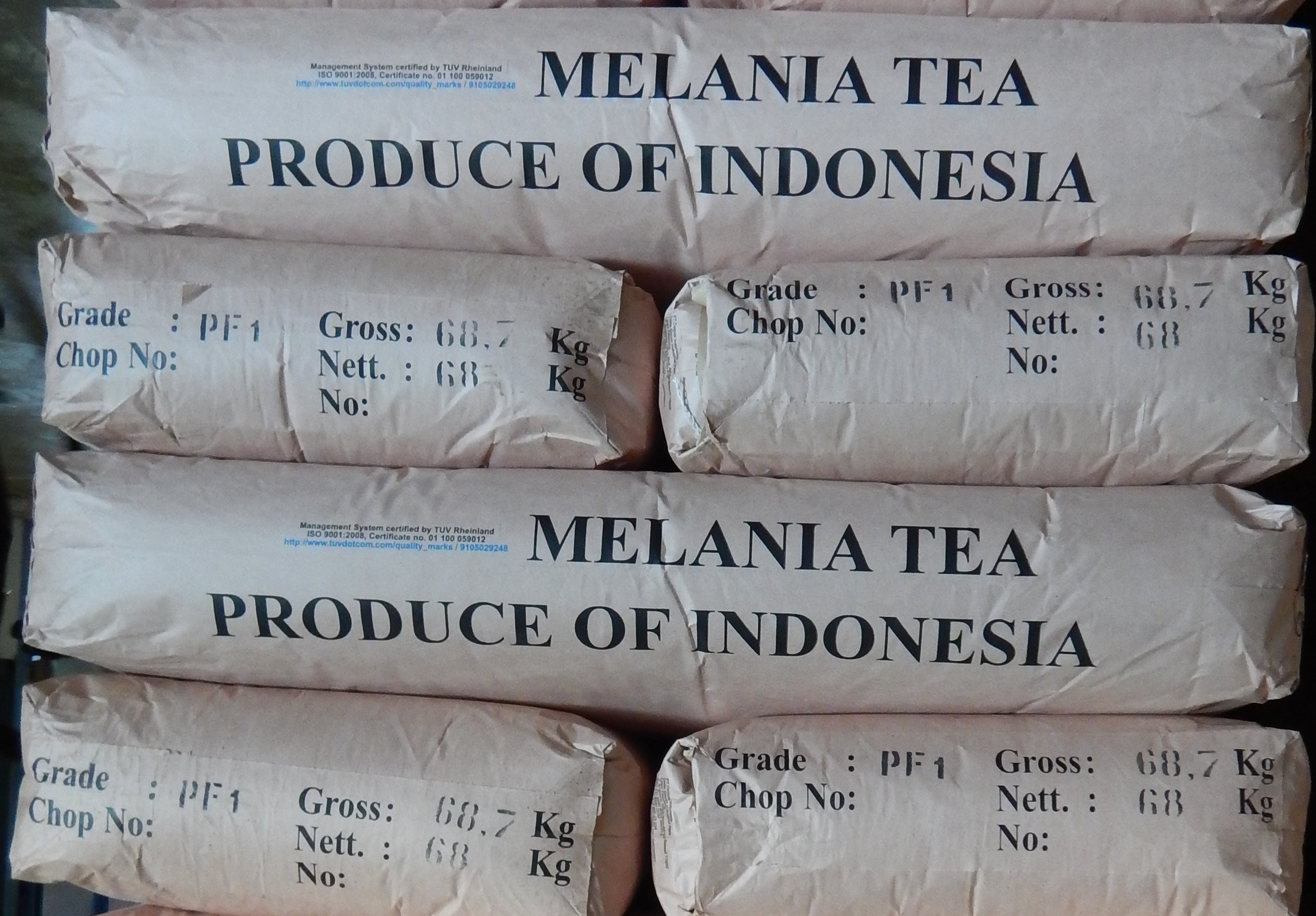 201505 Komisaris Visit 1095 tea in papaer bags.jpg