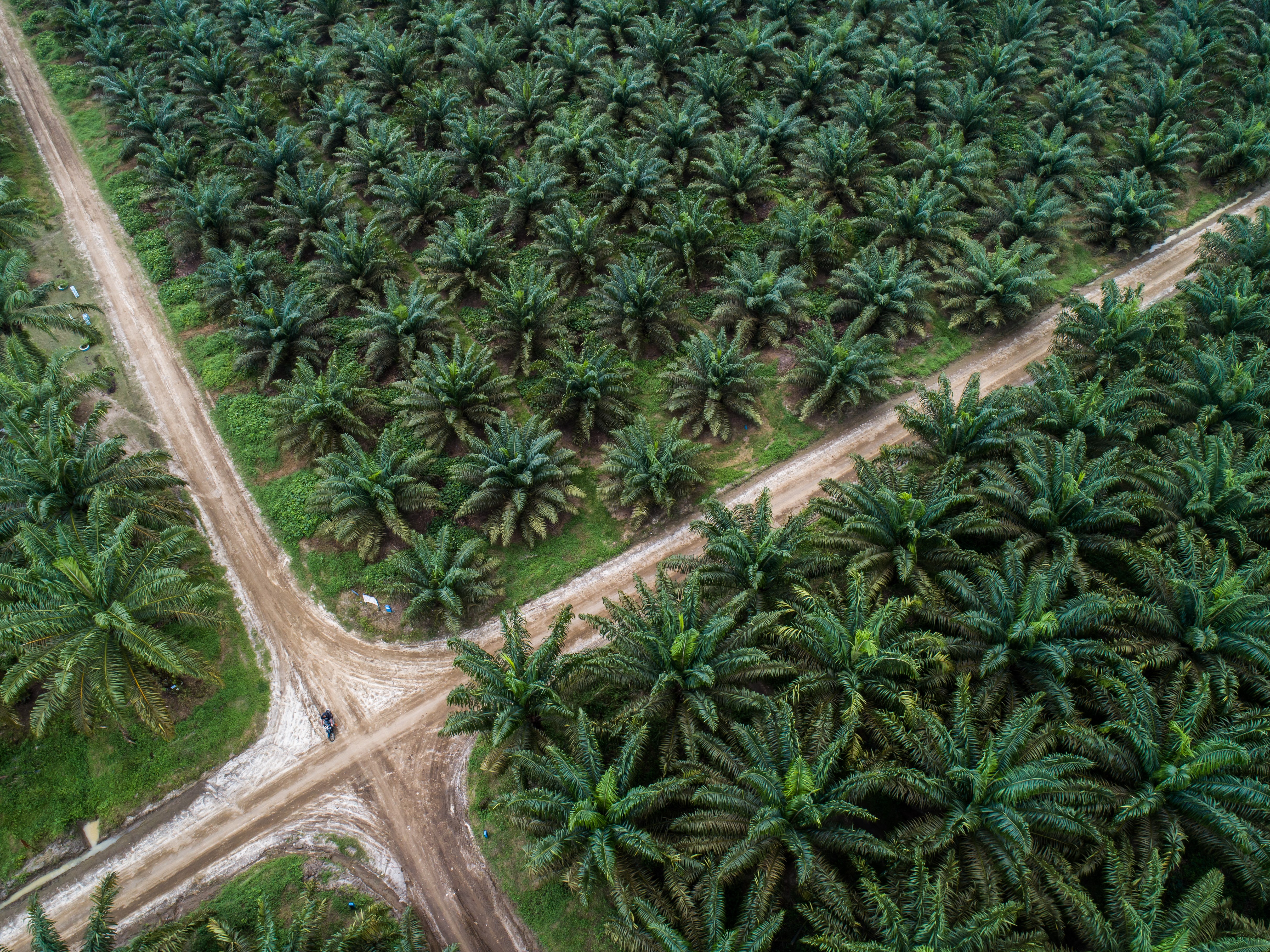 DJI_0070_JV 2019.jpg