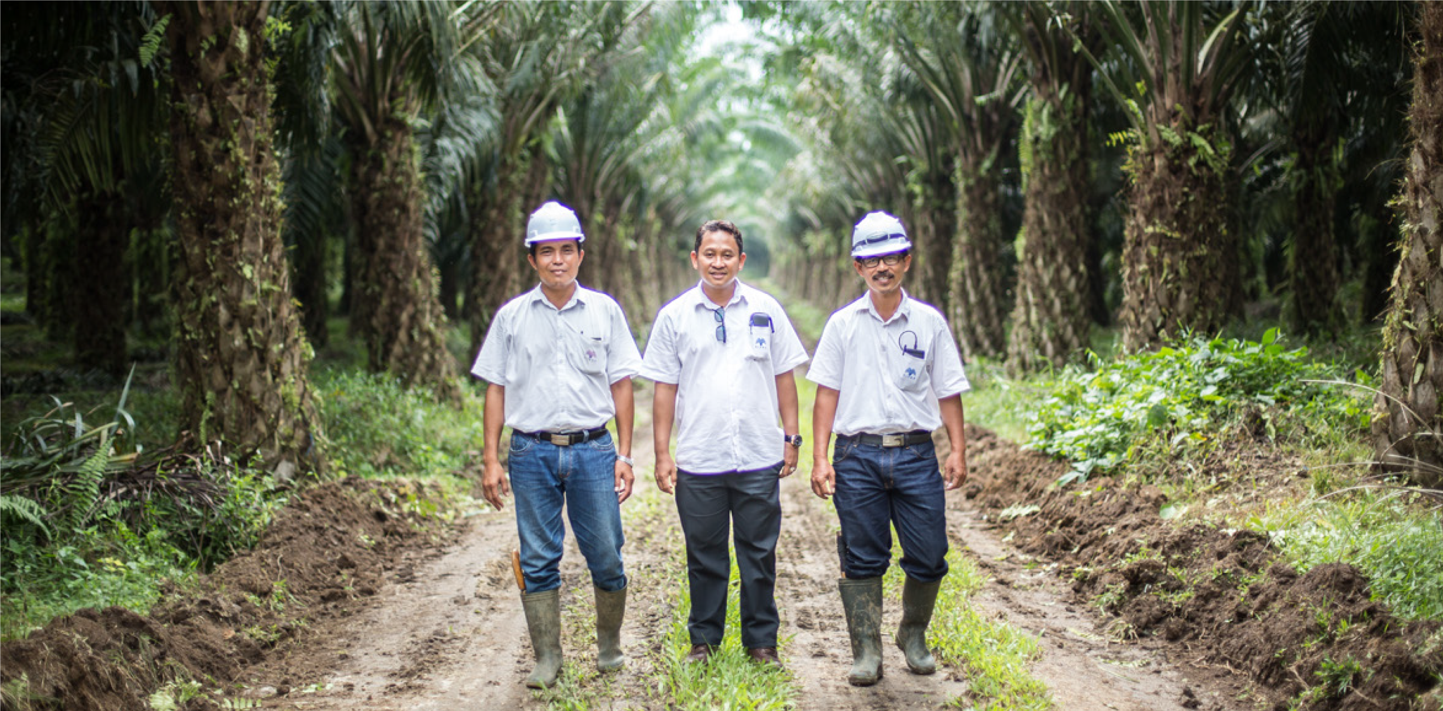 workers on the road.png