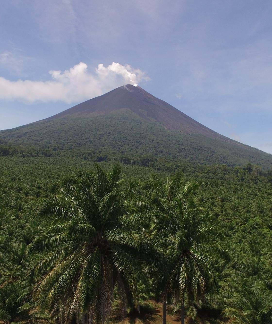 Sipef Papua New Guinea Sipef