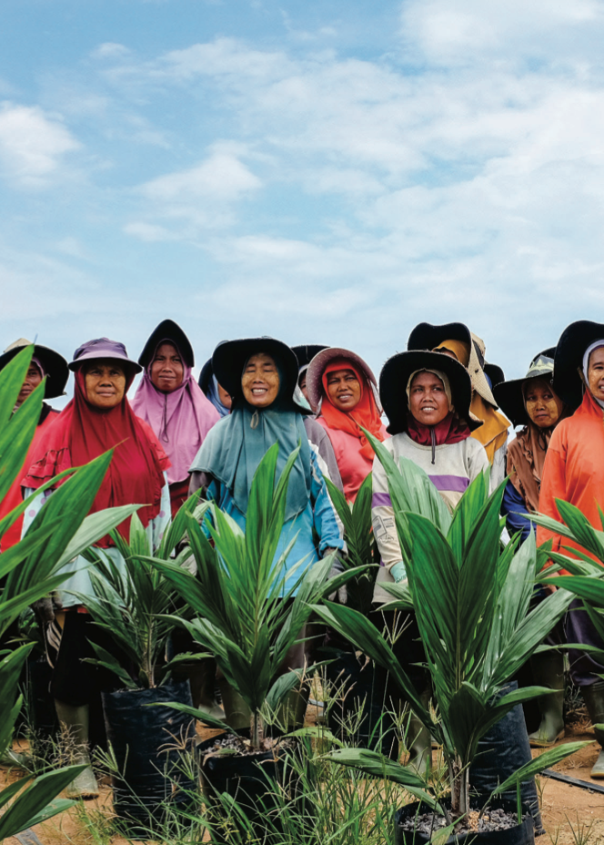 Indonesia - female oil palm plantation employees with young palm in nursery.png