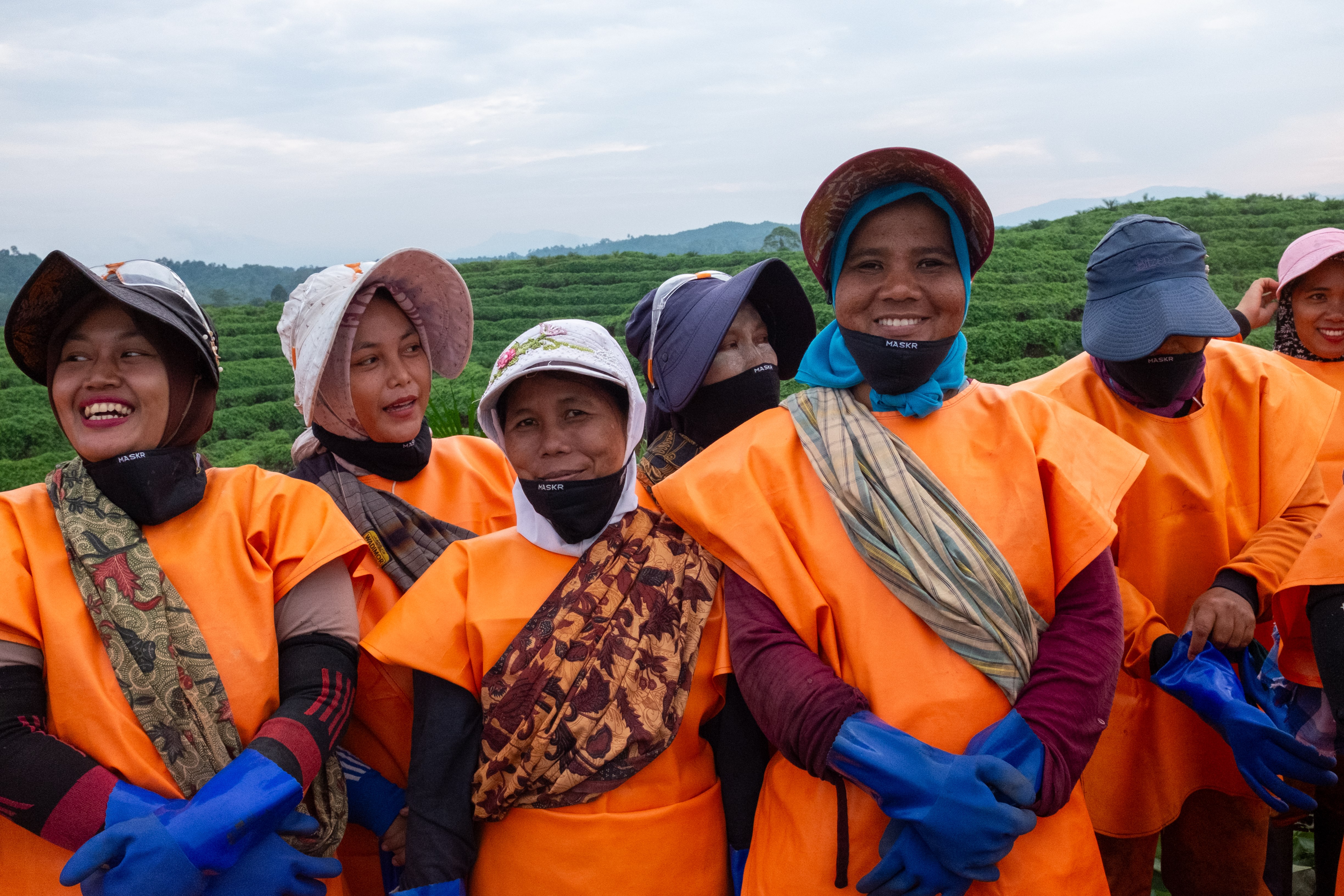 Indonesia - female plantation employees.jpg