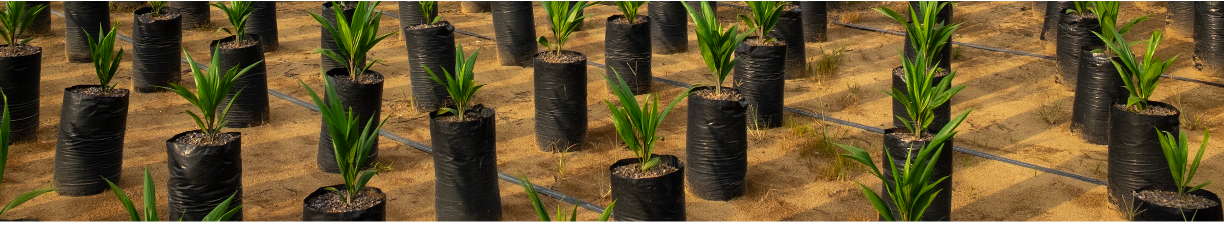 Test image header.png