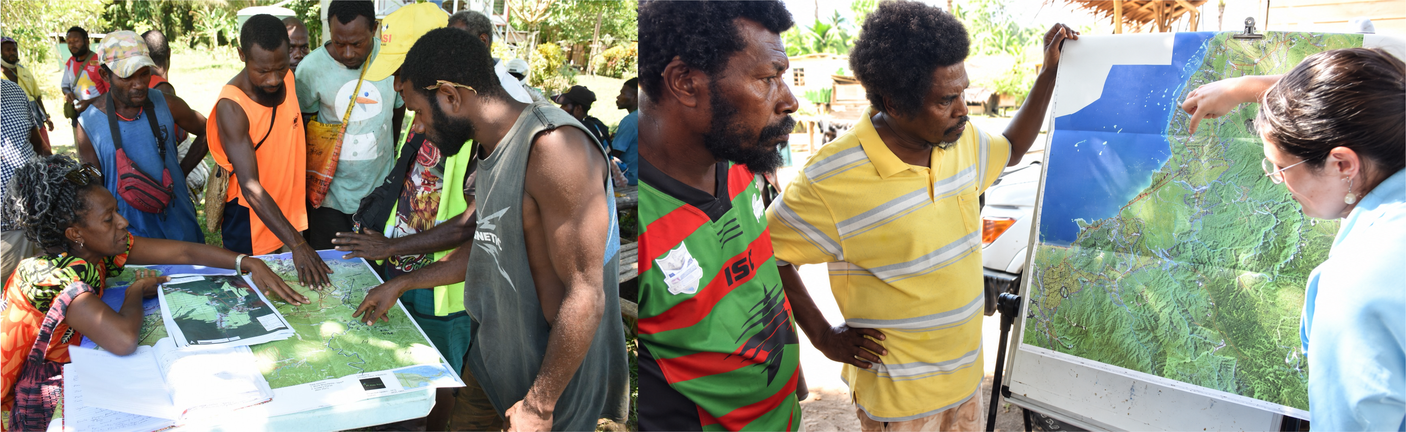 Hargy Oil Palms consultation.png
